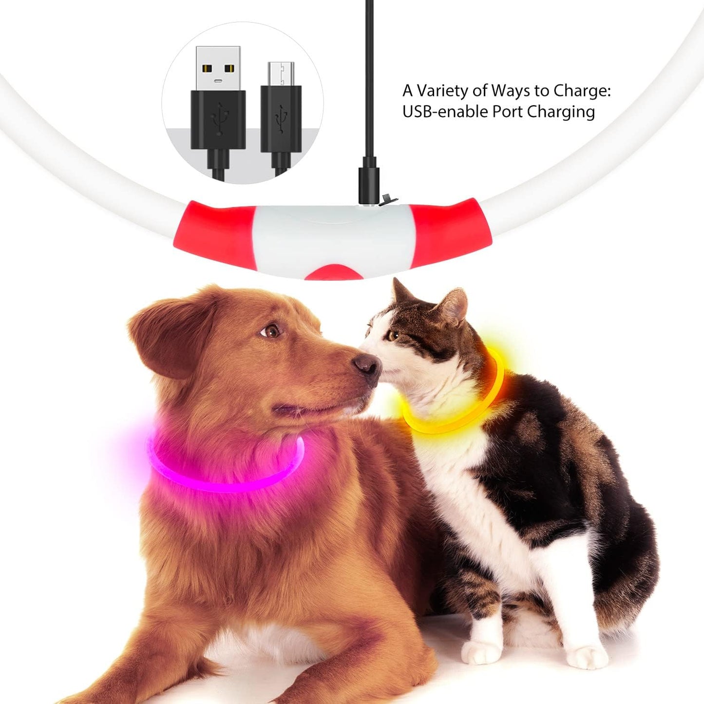 LED Glowing Collar