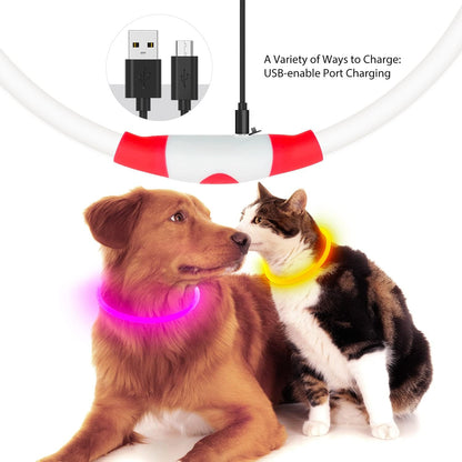 LED Glowing Collar