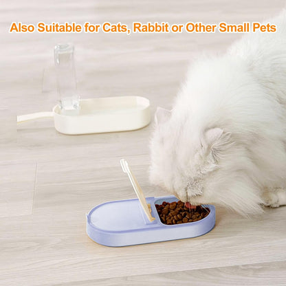 2-in-1 Dog Water Bottle &amp; Treat Container
