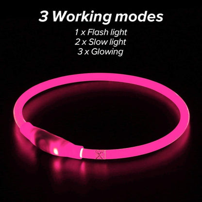 LED Glowing Collar