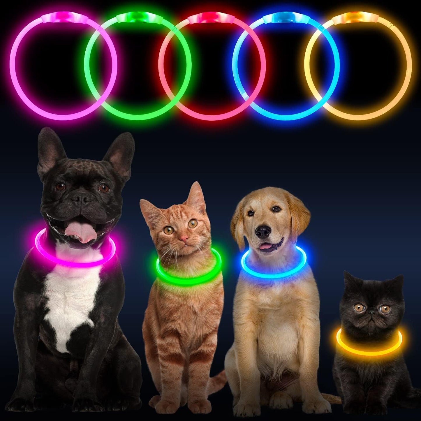 LED Glowing Collar