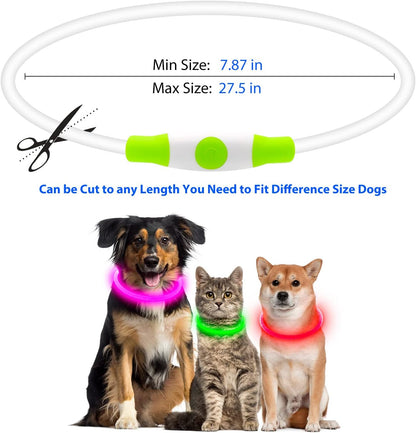 LED Glowing Collar