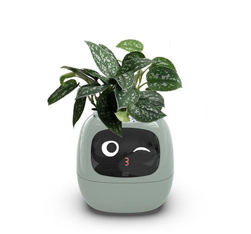 🌱 Smart Planter – Endless Fun with Smart Plant Care